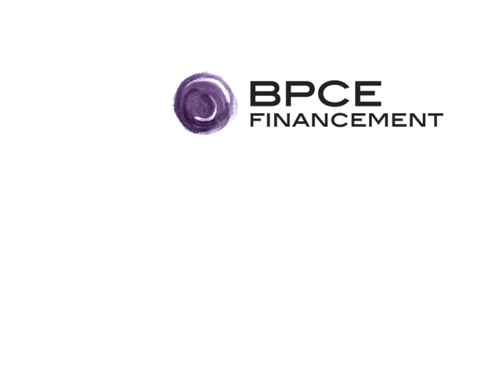 BPCE Financement, Groupe BPCE