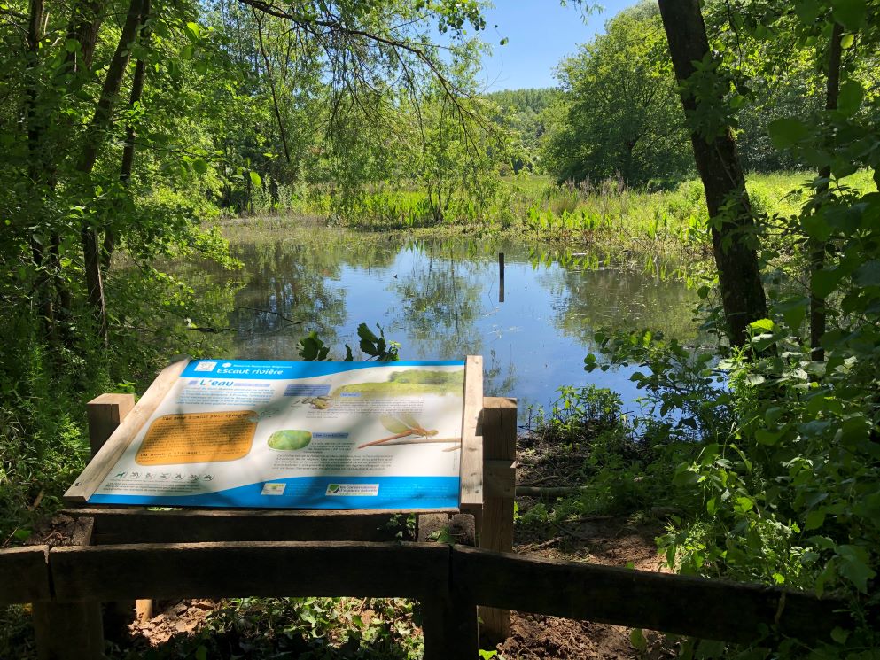 Visuel du Bois d'escaut