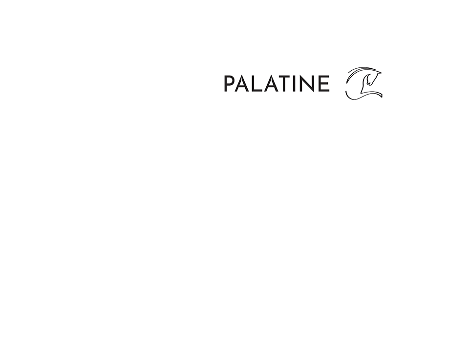 Logo Banque Palatine