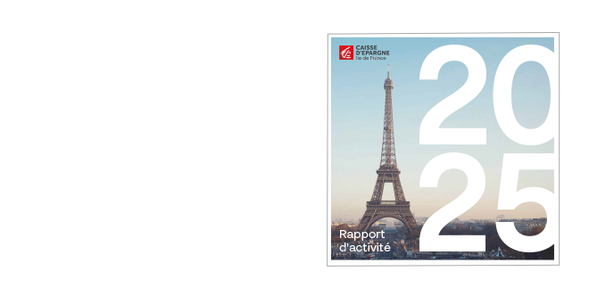Rapport annuel visuel CE Ile-de-France
